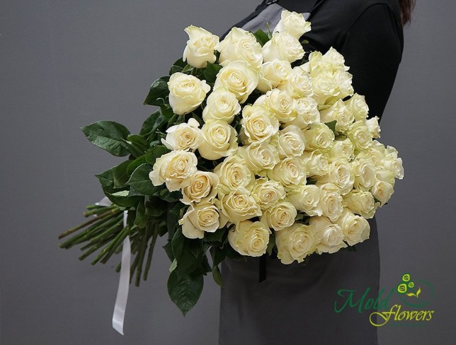 Trandafir alb Premium Olanda 80-90 cm foto
